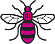 Manchester bee pink